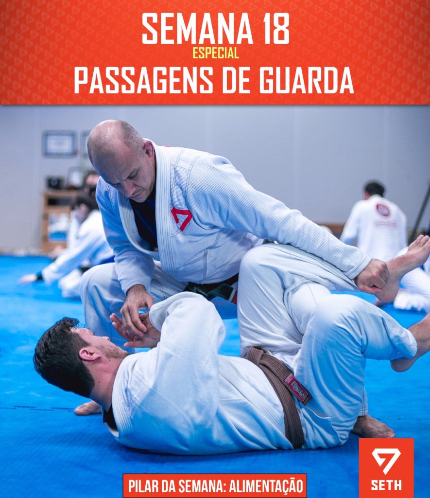 jiu+jitsu+joinville+semana+18