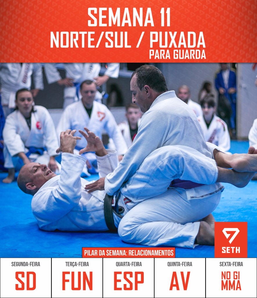 11-jiu-jitsu-joinville